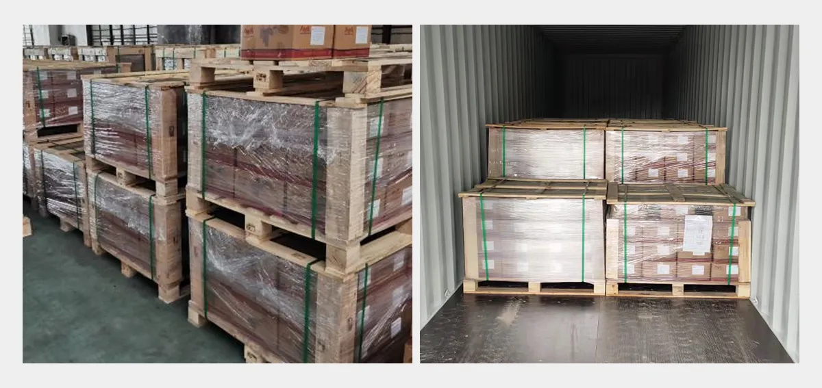 Round Head Square Neck Bolt packing